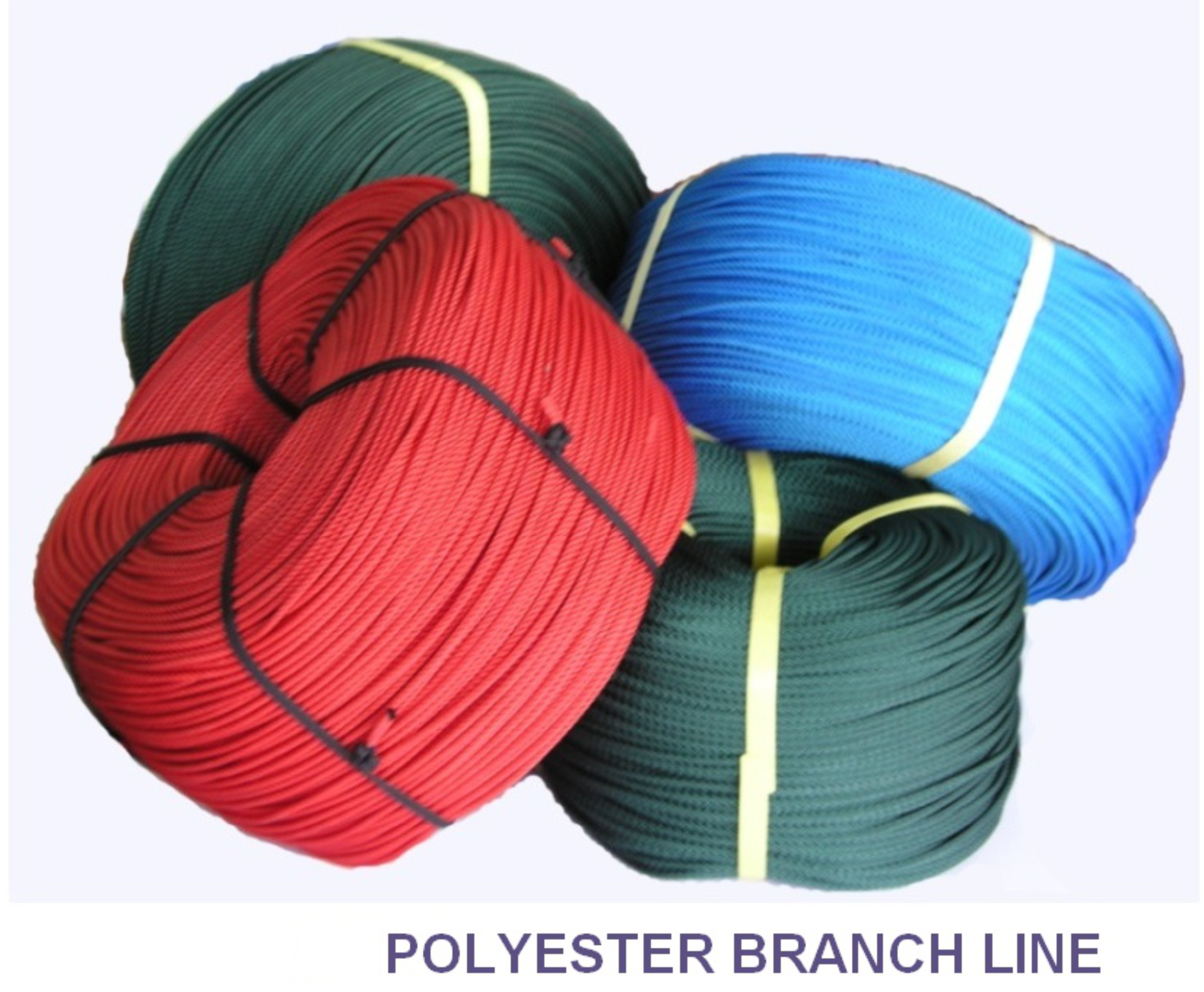 Many /Several things you need to know about Nylon Monofilament Fishing Line,  Mono Line from the Nylon Monofilament Fishing Line, Mono Line manufacturer,  supplier, wholesaler, distributor, and factory in Taiwan